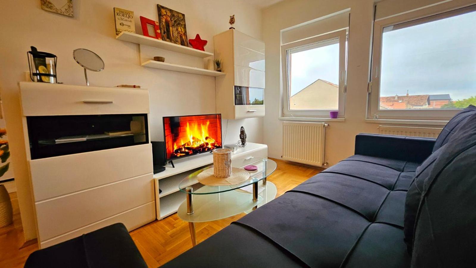 Sova Apartment Vrsac